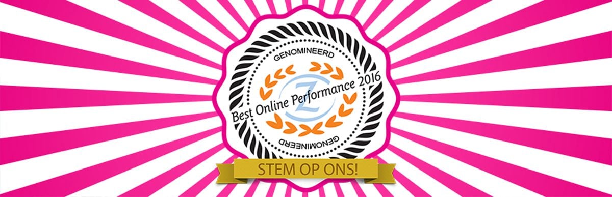 Nominatie Best Online Performance Award 2016