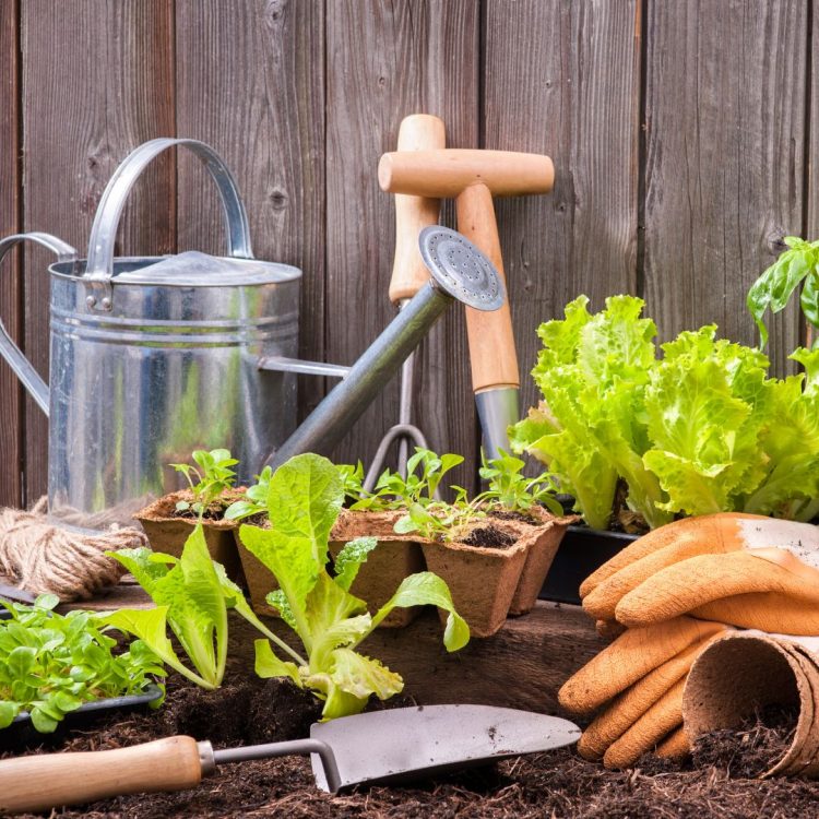 Tuinartikelen bedrukken voor de lente