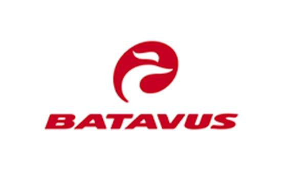 Batavus