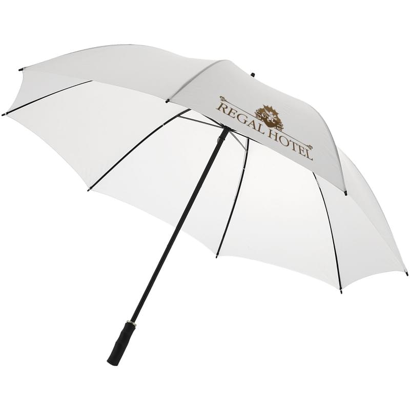 Metalen automatische klassieke paraplu