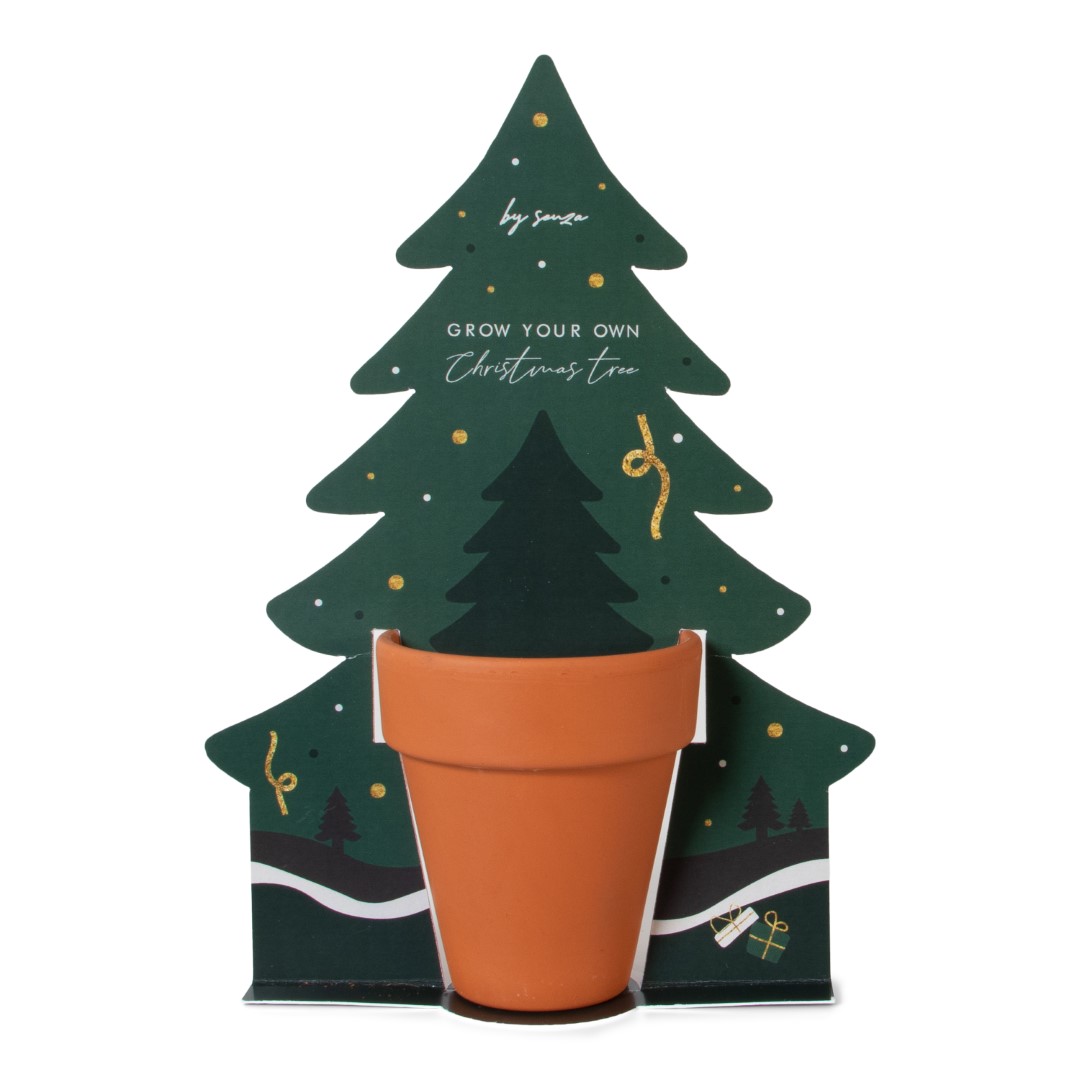 JENS Living Groei Je Eigen Kerstboom bedrukken? Voordelig & snel