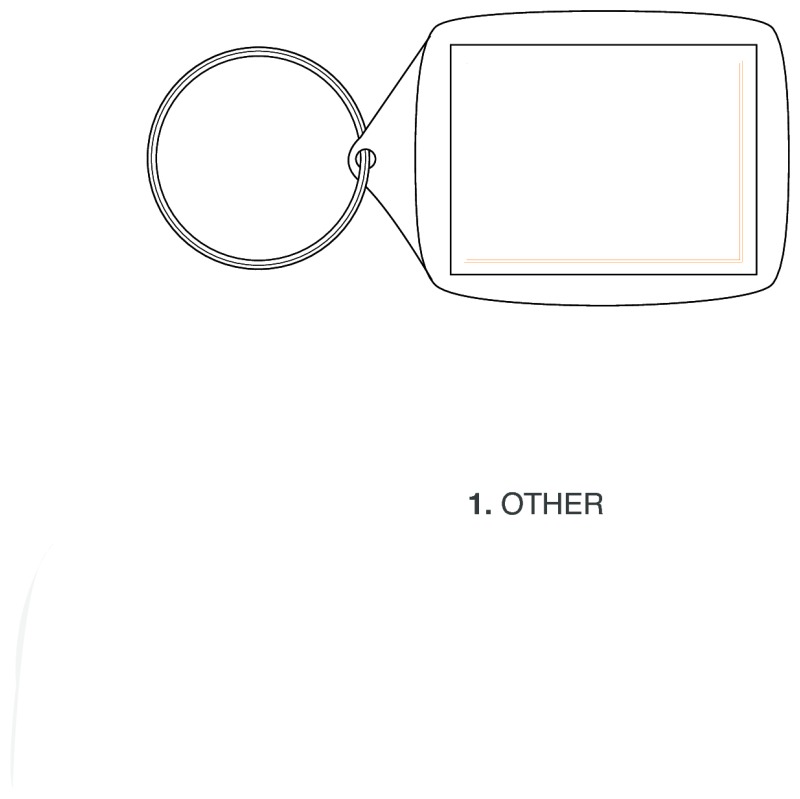 Leo sleutelhanger - kunststof - 5.9 cm - Anders