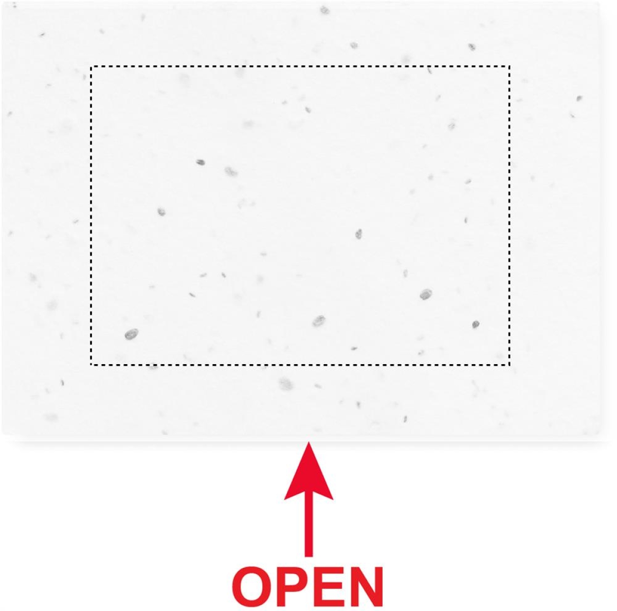 Grow Me memoblok - graspapier - 50 memo's - 10 x 7,2 cm - Top